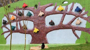 ВАСУ: Суд не дозволяв нищити Пейзажну алею