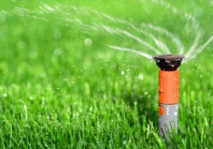 UEFA утвердил порядок полива газонов на Евро-2012