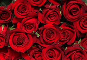 Мешканець Казахстану подарував дружині букет з мільйона троянд