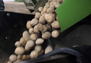 Внаслідок ДТП в Києві на дорогу висипалося півтонни картоплі