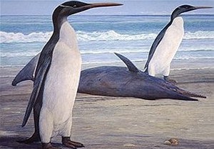 Палеонтологи знайшли викопні решки найбільшого пінгвіна
