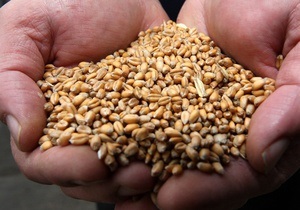 Побоювання щодо скорочення українського експорту призвели до зростання цін на пшеницю
