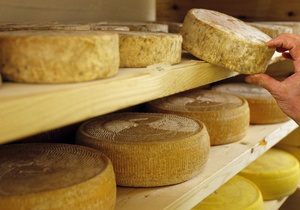 Росспоживнагляд збирається перевірити українські підприємства, що експортують сир до Росії