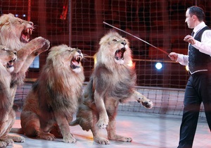 Десять левів з українського цирку можуть загинути від переохолодження на кордоні Росії з Латвією