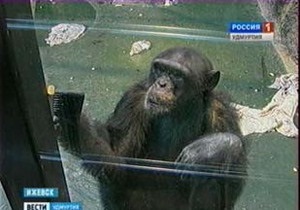 Мавп російського зоопарку залучили до миття підлоги і вікон