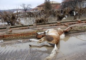 Жертвами повені на півдні Болгарії стали дев ять осіб