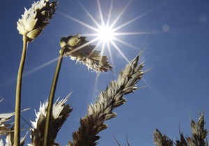 Адміністрація Януковича: Україна мінімізує втрати від обмеження поставок зерна в Іран