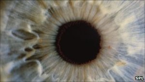 Вчені: лікування хвороб очей з допомогою стовбурових клітин - безпечне