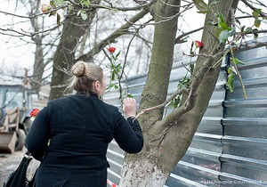 Харківські прихильниці Тимошенко прикрасили дерево біля колонії трояндами