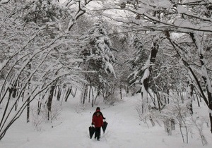 Снігопади в Болгарії: 12 українців опинилися в блокаді