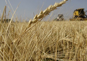 Україна за півроку експортувала майже 10 млн тонн зерна - Мінагрополітики