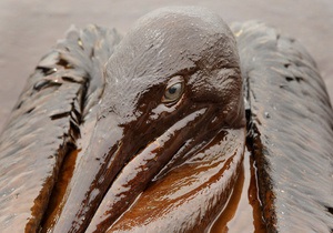 BP требует у Halliburton $20 млрд в качестве компенсации за экологическую катастрофу в Мексиканском заливе