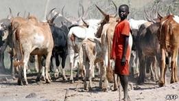 Племена в Південному Судані борються за рогату худобу. ООН вводить війська