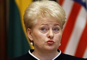 Президент Литви відреагувала на демарш Кемерона: Розділена не Європа, а Британія