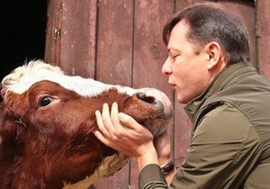 Пікетники проти ухвалення закону про ринок землі намагаються провести корову на територію Ради