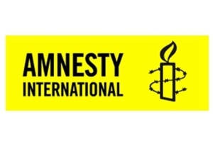 Amnesty International призвала Украину реформировать органы милиции перед Евро-2012