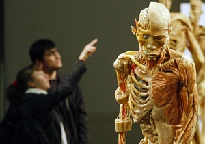 У США представили принтер, який друкує кісткову тканину