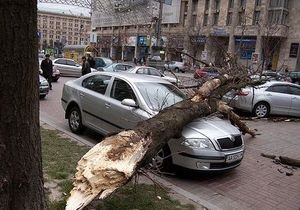 Ураганний вітер у Києві: впало більше десяти дерев, дві людини в лікарні
