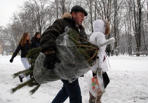 Новорічну ялинку в Києві можна буде купити за 40 грн