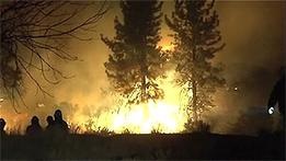 Тисячі мешканців штату Невада тікають від пожеж