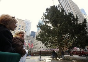 У Нью-Йорку встановили головну різдвяну ялинку США