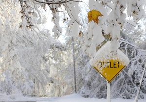 Кількість жертв снігопаду у США наближається до 30, понад мільйон будинків залишаються без світла