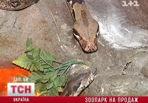 У Київському зоопарку заперечують факт продажу тварин у приватні руки