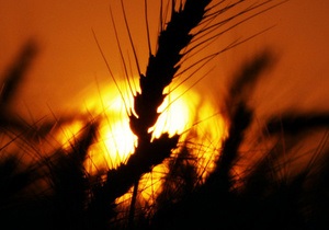 Рада скасувала ПДВ на експорт зерна, соняшнику і ріпаку