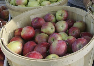 ЗМІ: Польські виробники готуються до яблучних воєн з Україною