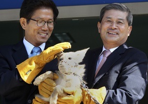 Південнокорейські вчені заявляють, що клонували койота