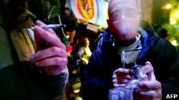 У Голландії  міцну  коноплю прирівняють до кокаїну