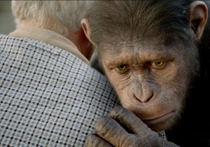 У Японії приматам показали фільм Повстання планети мавп