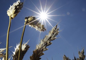 Рада скасувала мита на експорт пшениці та кукурудзи, але ввела на сою і соняшникову олію