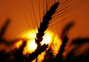 Мінекономіки запропонувало продовжити мита на експорт зерна до 2013 року