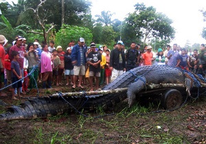 На Філіппінах зловили гігантського крокодила вагою понад тонну
