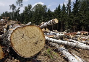 За полгода объем продукции лесозаготовок в Украине вырос на 48%