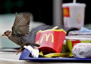 Под давлением борцов с ожирением McDonald s изменит состав Happy Meal