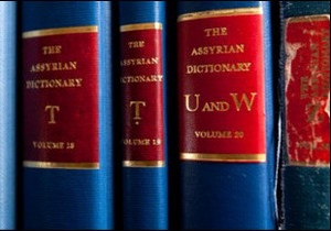 Словник мови давньої Месопотамії писали 90 років
