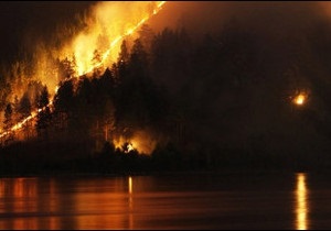Сибір палає. Російська влада не може приборкати пожежі