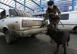 Во время Евро-2012 на украинсках погранпостах будет служить тысяча собак