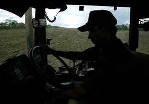 Министр аграрной политики отрицает причастность к зернотрейдеру, вызвавшему резонанс на украинском рынке