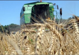 Азаров виступає за  зерновий ОПЕК  з Росією