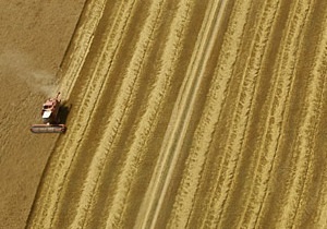 Зернотрейдер США: Україна нам конкурент!