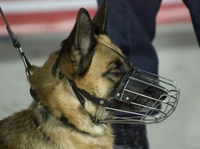 Матч молодіжок Молдови та Андорри завершився грандіозною бійкою