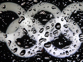 Умер первый таджикский олимпиец