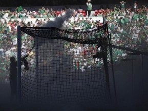 Во время футбольного матча в Мексике стадион атаковали пчелы