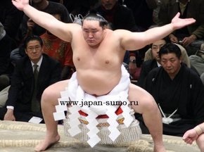 Лучший сумоист мира решил стать президентом Монголии