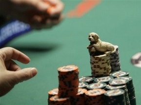 В Киеве пройдет турнир Золотая осень