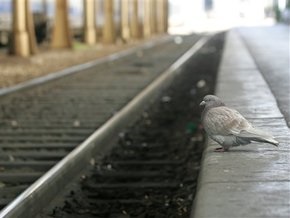 К 2012 году Укрзалізниця купит 17 двухсистемных региональных поездов