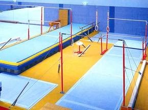 Армянский преподаватель побил рекорд Гиннесса по переворотам на турнике назад